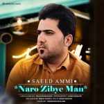 دانلود آهنگ سعید عمی به نام نرو زیبای من