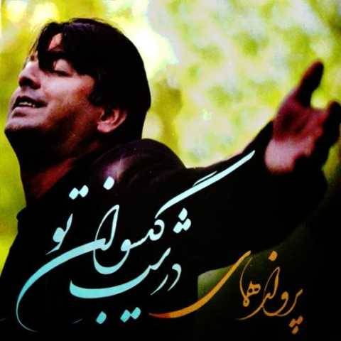 پرواز همای دیونه تر