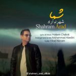 دانلود آهنگ شهرام آراد به نام شما
