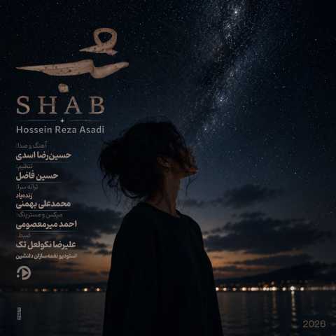 حسین رضا اسدی شب